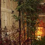 Ya -Miyabi